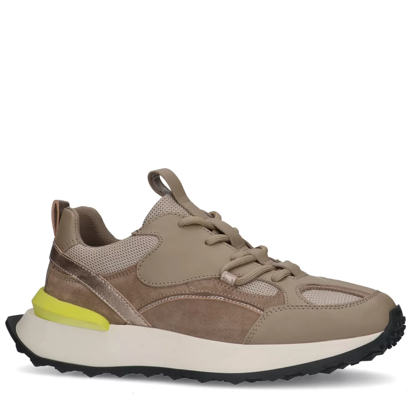 Baskets En Cuir Avec Detail Colore - Taupe<Sacha Cheap