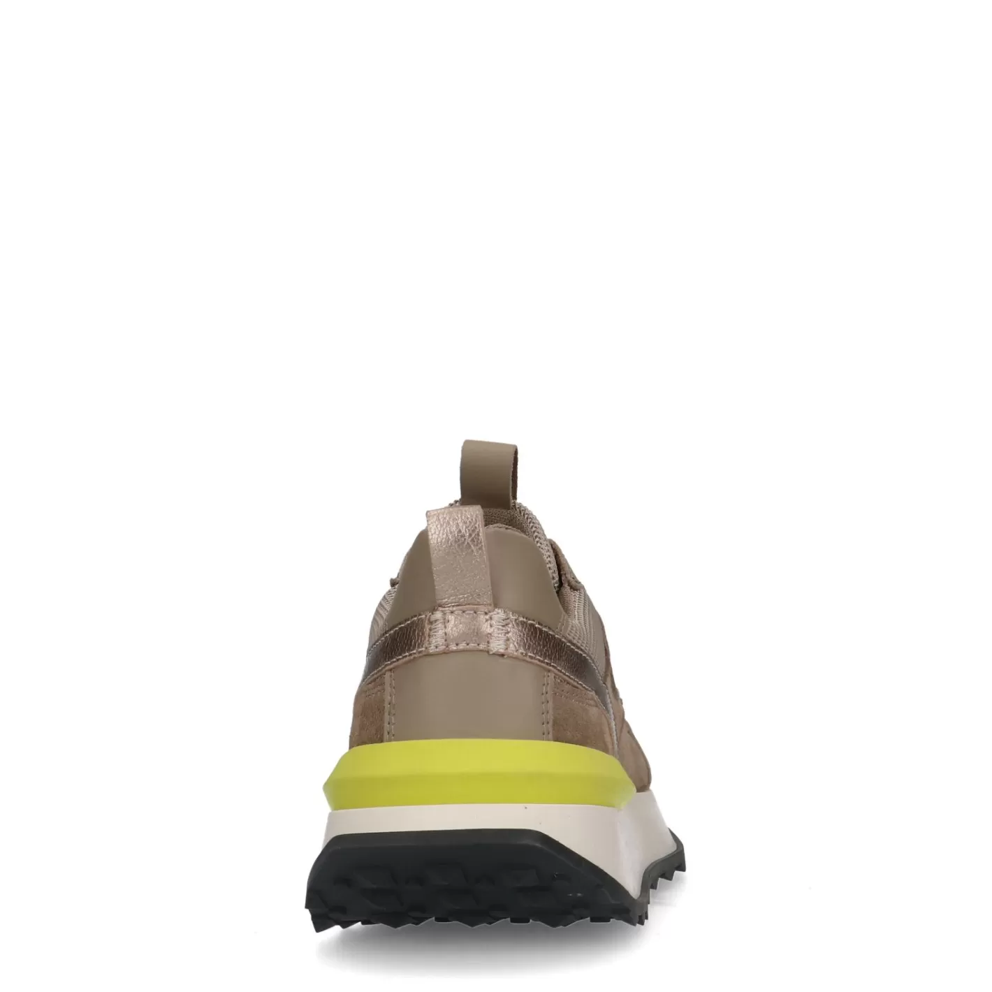 Baskets En Cuir Avec Detail Colore - Taupe<Sacha Cheap