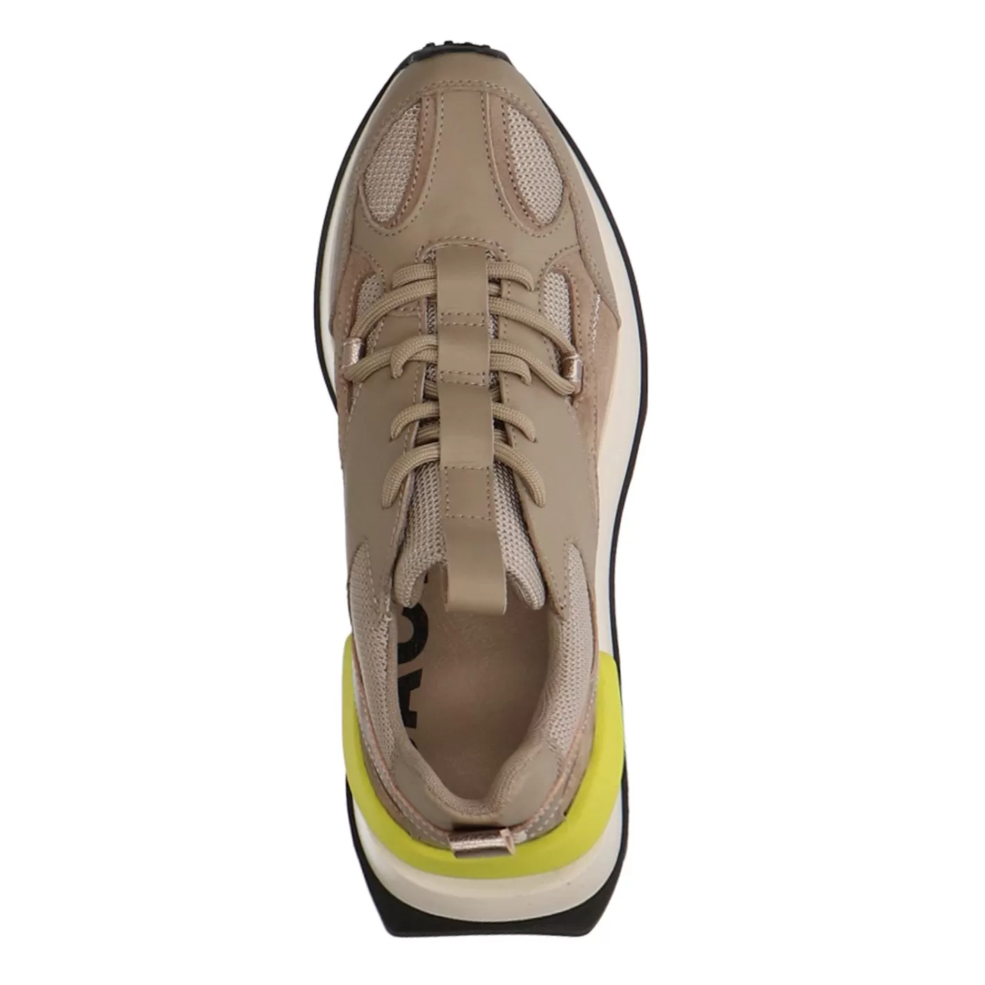 Baskets En Cuir Avec Detail Colore - Taupe<Sacha Cheap